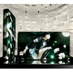 Coque iphone 4 4s d. gray man lenalee lee 13