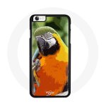 Coque iphone 5c perroquet orange bleu ciel vert jaune bec soleil nuage douceur couleur pastel oiseau