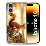 Coque renforc�e pour apple iphone 16 animal ecureuil bois