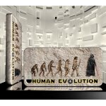 Coque rigide pour iphone 5c human evolution super heros dark vador 14