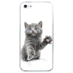 Coque rigide transparente pour apple iphone 5c avec impression motifs chat yeux
