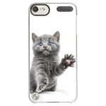 Coque rigide transparente pour apple ipod touch 5 avec impression motifs chat ye