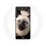 Coque samsung galaxy a41 chat siamois noir et blanc aux yeux bleus