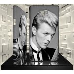 Coque samsung galaxy s2 david bowie 03