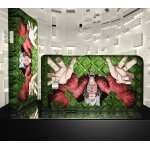 Coque samsung galaxy s2 one piece doflamingo 21