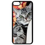 Coque pour smartphone - chat tigr� gris yeux vert - compatible avec apple ipod touch 6 - plastique - ...