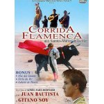 Corrida flamenca aux saintes - maries - de - la - mer