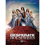Desperate housewives season 6 - import