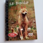 Le dingo ami ou ennemi