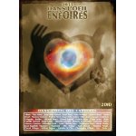Les enfoirs - 2011 : dans l'oeil des enfoirs
