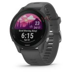 Garmin forerunner 255 gps 46 mm gris ardoise (010 - 02641 - 10)