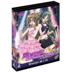 Hayate the combat butler saison 1 volume 4