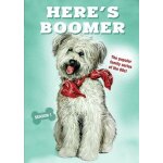 Here's boomer: season 1 [dvd] full frame, 2 pack, ntsc format