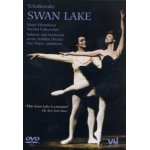 Le lac des cygnes