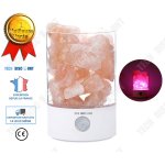 Lampe en cristal de sel de l'himalaya de chevet de bureau lecture enfant led moderne sans fil fille enfant ...