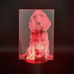 Lampe led 3d avec détecteur de nuit, animal de compagnie, contrôle par téléphone intelligent, cocker, ... Lampe led 3d avec détecteur de nuit, animal de compagnie, contrôle par téléphone intelligent, cocker, ...