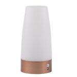 Lampe led a induction avec d�tecteur de mouvement intelligent, aliment�e par pile sans fil, id�al pour ...