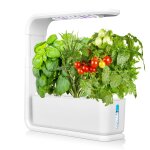 Mini jardin led de intrieur et lampe de table, potager urbain ?smart garden - potager hydroponique d?intrieu ...