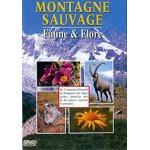 Montagne sauvage - faune & flore