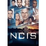 Ncis: naval criminal investigative service: the seventeenth season [dvd] boxe