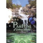 Parfum d'emeraude - canyoning en corse