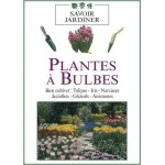 Plantes a bulbes Plantes a bulbes