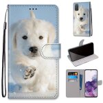 Samsung galaxy s20 coque, saturcase beau pu cuir magn�tique flip portefeuille support porte - carte dragonne ...