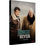 Un singe en hiver