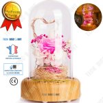 Streamer souhaitant nol micro - paysage led cadeau enfant fille garon bluetooth usb lumire douce lampe ...