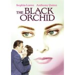 The black orchid [dvd]