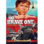 The brave one [dvd] rmst