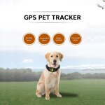 Traceur gps pour animaux de compagnie, collier pour chien et chat, rsistant  l'eau, fonction de rappel ...