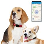 Traceur gps pour collier d'animal etanche ip67 avec localisation wifi lbs 4g or yonis
