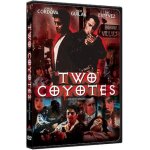 Two coyotes (chk sen)