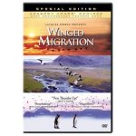 Winged migration Winged migration