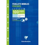 1741c un etui de feuillets mobiles perfors bleus - a4 21x29, 7 cm - 100 pages grands carreaux - papier ...