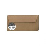 20 enveloppes pollen 110x220 mm - kraft