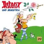 29: asterix und maestria