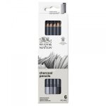 6 crayons fusain - doux - moyen - dur - winsor et newton - studio collection