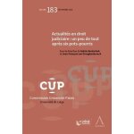 Actualit�s en droit judiciaire : un peu de tout apr�s six pots - pourris