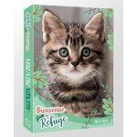 Agenda bienvenue au refuge - edition 2023 - 2024