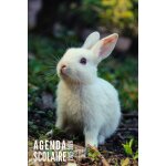 Agenda scolaire 2025 2026: lapin - journalier pour filles et garons en primaire, collge et lyce de ...