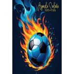 Agenda scolaire 2025 - 2026: planificateur journalier de septembre a juillet collge, lyce pour fille ...