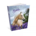 Agenda scolaire bouchut 2022 / 2023 journalier modle cheval 12 x 17cm