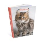 Agenda scolaire - chat - chaton - 2023 / 2024 - 1 page par jour - ao�t 2023 a ao�t 2024