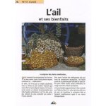 L'ail et ses bienfaits