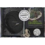 Air terrarium - microjardins a suspendre ou a poser - avec un terrarium a suspendre en verre, des graviers ...