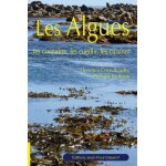 Les algues Les algues