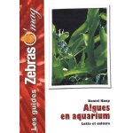 Algues en aquarium - lutte et culture