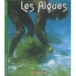 Les algues - produits, saveurs et sant� de la mer
